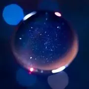 bonheurの画像