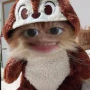 プテリ セティヤニの画像