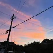 ナナの画像