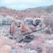 たかみの画像