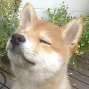 かずの画像