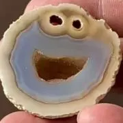 まふの画像