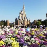 きための画像