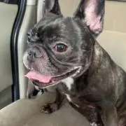 さーやん