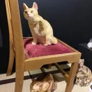 らま