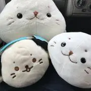 yonamiの画像