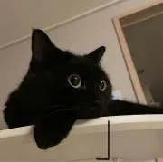 にあ プロフ必読の画像