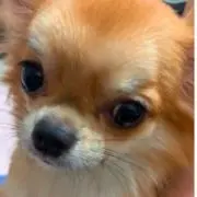 あしべ☆PR必読✩︎⡱