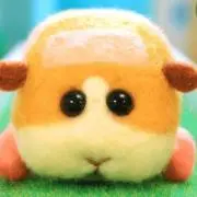 もきの画像