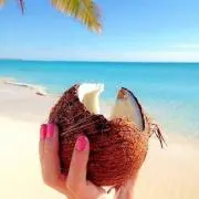 COCOMO