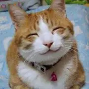 めぇこ