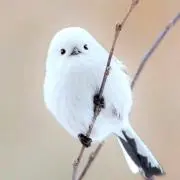 Day