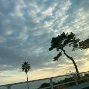 MIKKI☆