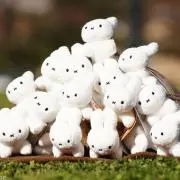 こにーの画像