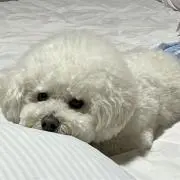 yuutanの画像
