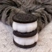 ちゃんし