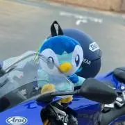 愛莉の画像