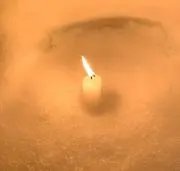 めいぽんの画像