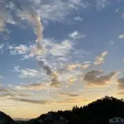 あいあいの画像