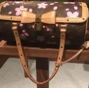 ゴシップの画像