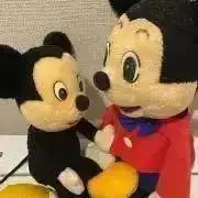 みぃちゃんの画像