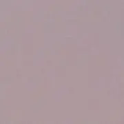 yの画像