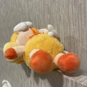 たけのこの画像