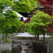 嵯峨の画像