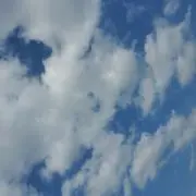 もっちゃんの画像