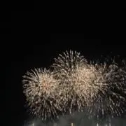 カニの画像