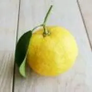 柚子の画像