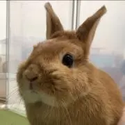 ran-maruの画像