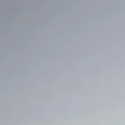Rii