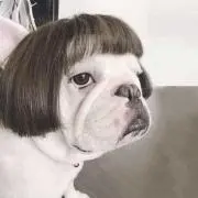 えむの画像