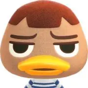 nyanya ₍ᐢ. .ᐢ₎の画像