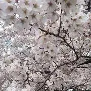 みなもとの画像