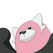 ぽんの画像
