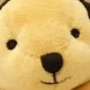 はく