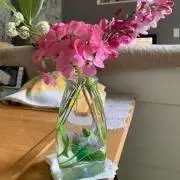 Ranunculus