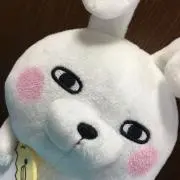 RyoKaの画像