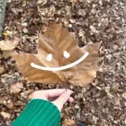 きむきむの画像