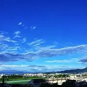 信楽の画像