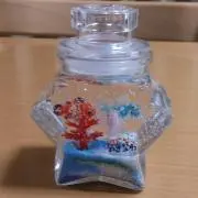 ayamuの画像