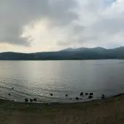 SZNMの画像