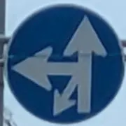たかぽんの画像