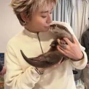 あいすの画像