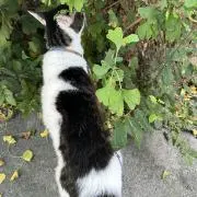 11113kdの画像