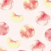 berryの画像