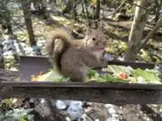 Meeの画像