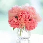 ruru＊の画像